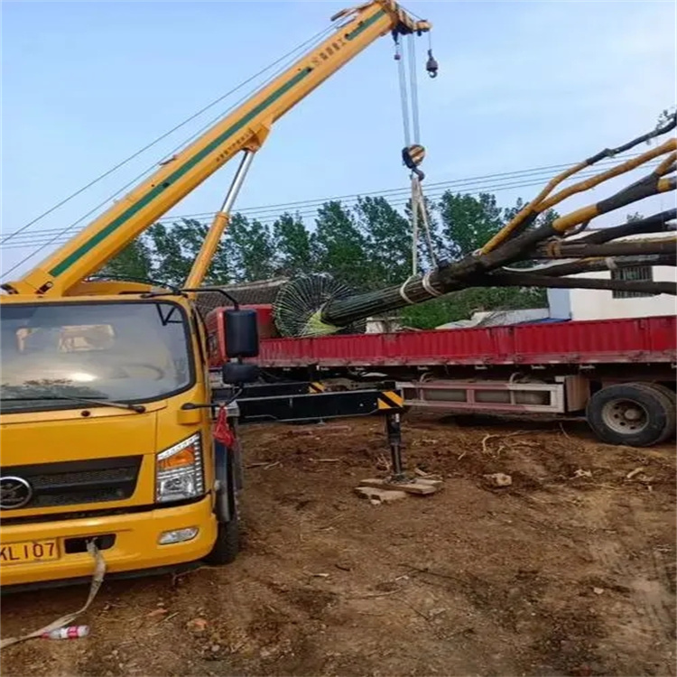 木鱼镇100吨吊车租赁费用怎么算？3大关键因素+省钱技巧全解析